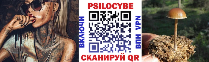 Купить  Реж  Псилоцибиновые грибы GOLDEN TEACHER 